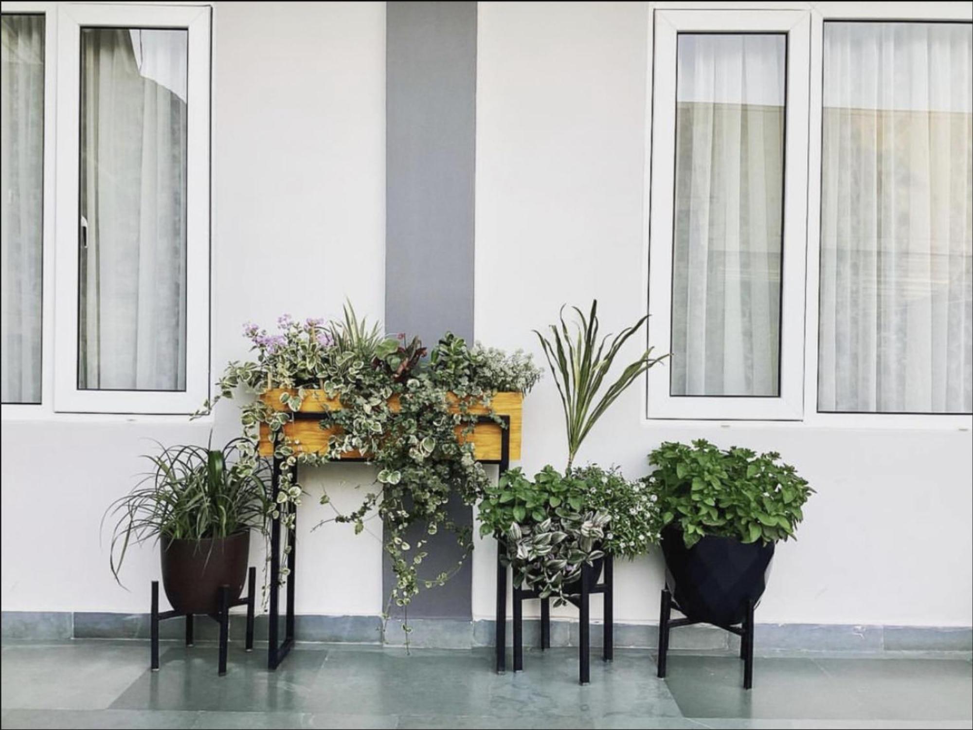 Bed and Breakfast Magen Hills Ukhrul Екстер'єр фото